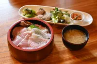 すしとめの写真・動画_image_1568384
