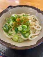 キリンの写真・動画_image_1568675
