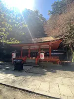 金比羅山の写真・動画_image_1568690