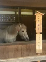 金比羅山の写真・動画_image_1568694