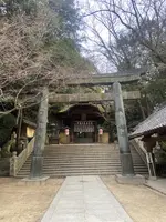 金比羅山の写真・動画_image_1568704