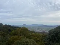 金比羅山の写真・動画_image_1568705