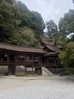 金比羅山の写真・動画_image_1568706