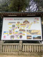 金比羅山の写真・動画_image_1568710