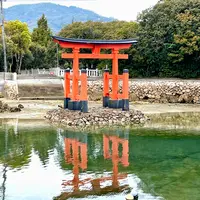 白鳥八幡宮の写真・動画_image_1572700