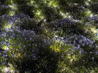 舎人公園の写真・動画_image_1572881