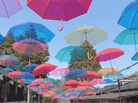 加賀伝統工芸村 ゆのくにの森の写真・動画_image_1573598
