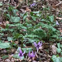 泉自然公園の写真・動画_image_1577248