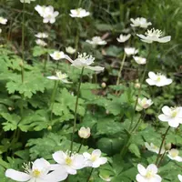 泉自然公園の写真・動画_image_1577249