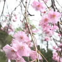 泉自然公園の写真・動画_image_1577250