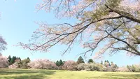 泉自然公園の写真・動画_image_1577252