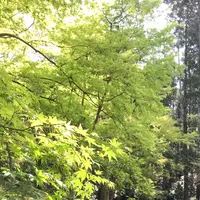 泉自然公園の写真・動画_image_1577253