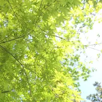 泉自然公園の写真・動画_image_1577254