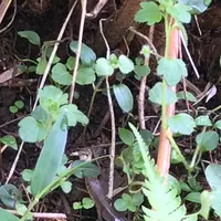 泉自然公園の写真・動画_image_1577256