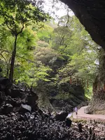 天安河原の写真・動画_image_1579595