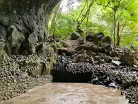 天安河原の写真・動画_image_1579596