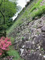 延岡城址の写真・動画_image_1579613