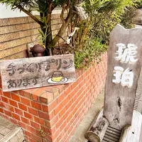 琥珀の写真・動画_image_1582120