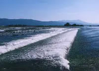 板野郡農協ＪＡグリーンいたの西店の写真・動画_image_158721