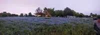 舎人公園の写真・動画_image_1588370