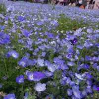 舎人公園の写真・動画_image_1588372