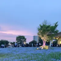 舎人公園の写真・動画_image_1588373