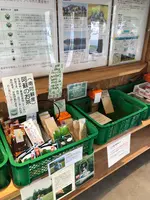 新阿蘇大橋の写真・動画_image_1588659