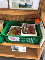 新阿蘇大橋の写真・動画_image_1588660