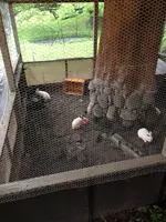 アーデンホテル阿蘇の写真・動画_image_1588674