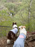 萌木の村の写真・動画_image_1588885