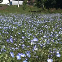 富田さとにわ耕園の写真・動画_image_1590867