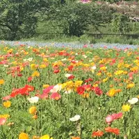 富田さとにわ耕園の写真・動画_image_1590868