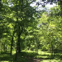二の丸庭園の写真・動画_image_1591690