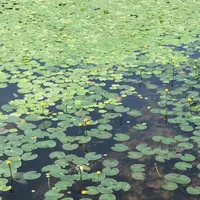 二の丸庭園の写真・動画_image_1591693