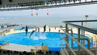 マリンワールド海の中道の写真・動画_image_1591819