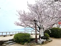 唐津城の写真・動画_image_1591838
