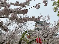 唐津城の写真・動画_image_1591839