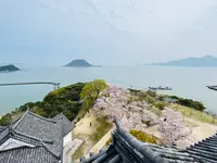唐津城の写真・動画_image_1591841