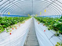 太陽社の写真・動画_image_1591868