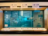 呼子萬坊の写真・動画_image_1591899