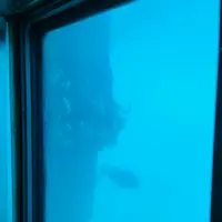 呼子萬坊の写真・動画_image_1591901