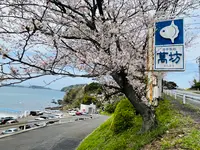 呼子萬坊の写真・動画_image_1591902