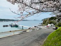 呼子萬坊の写真・動画_image_1591903
