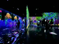 teamLab Forest / チームラボフォレスト – SBI証券の写真・動画_image_1591927