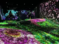 teamLab Forest / チームラボフォレスト – SBI証券の写真・動画_image_1591930