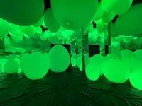 teamLab Forest / チームラボフォレスト – SBI証券の写真・動画_image_1591934