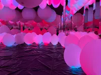 teamLab Forest / チームラボフォレスト – SBI証券の写真・動画_image_1591936
