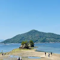 ネイビーロード（群青の道）の写真・動画_image_1596622