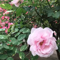 千葉市都市緑化植物園の写真・動画_image_1597207