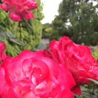 千葉市都市緑化植物園の写真・動画_image_1597213